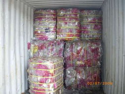 寵物再生技術與代理記賬 創(chuàng)新科技與專業(yè)服務的融合