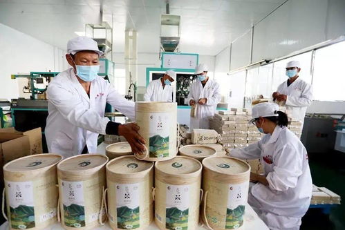 谷香飄萬(wàn)里，增收靠大米 大額資金如何助力產(chǎn)業(yè)騰飛